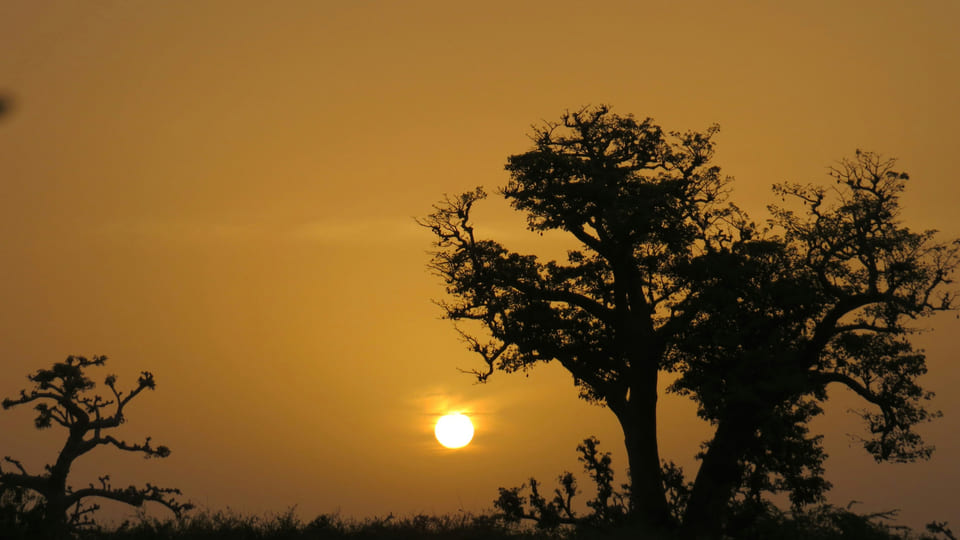 Страна баобабов – Сенегал