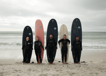 Вебинары и лекции о сёрфинге