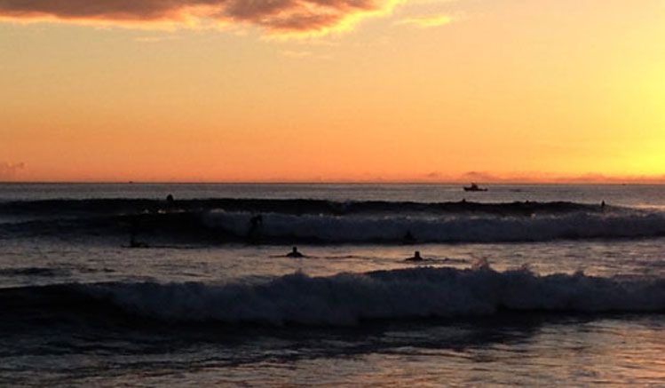 СПЕЦКОР SURFWAY Алексей расскажет о своем сёрф-путешествии на Гавайи